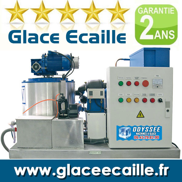 ECAILLES POUR POISSON