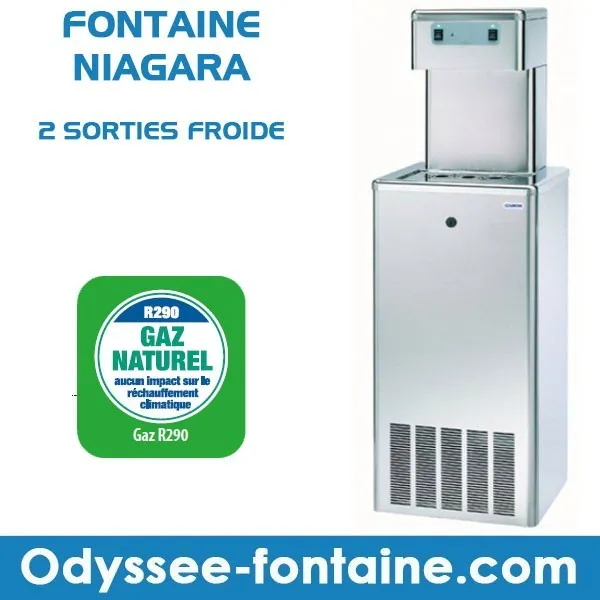 Refroidisseur d'eau banc de glace 65 L/H 3 sorties